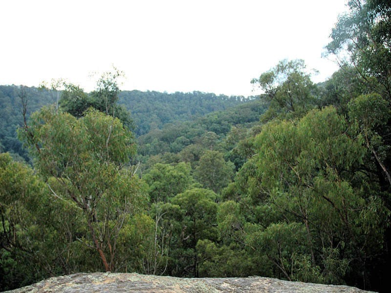 245 Budd Road, Cedar Creek NSW 2325