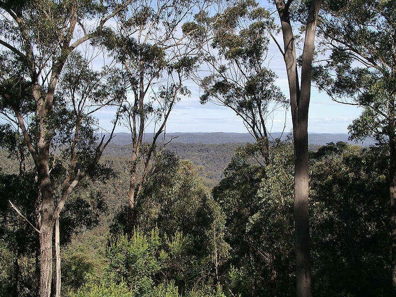 245 Budd Road, Cedar Creek NSW 2325