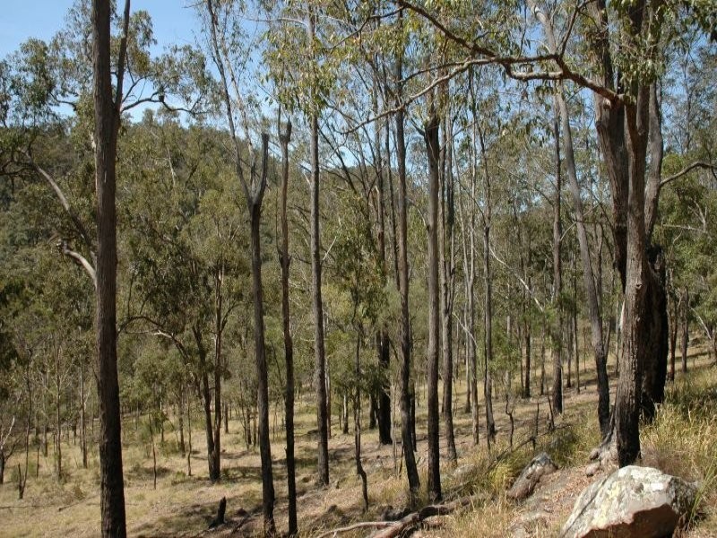 881 L4 Private Road, Laguna NSW 2325