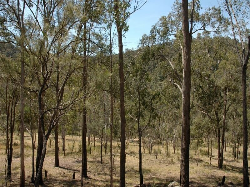 881 L4 Private Road, Laguna NSW 2325