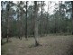 Wollombi NSW 2325