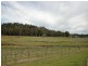 475 Yango Creek Road, Wollombi NSW 2325