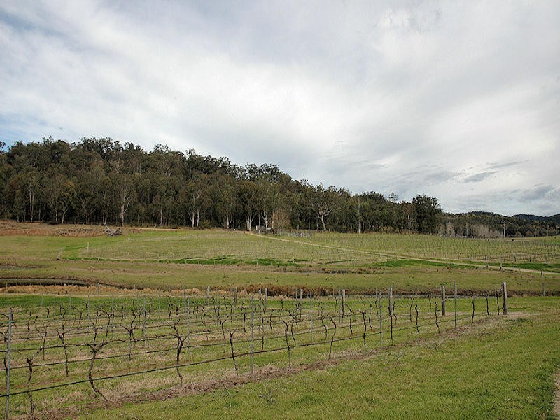475 Yango Creek Road, Wollombi NSW 2325