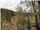 475 Yango Creek Road, Wollombi NSW 2325