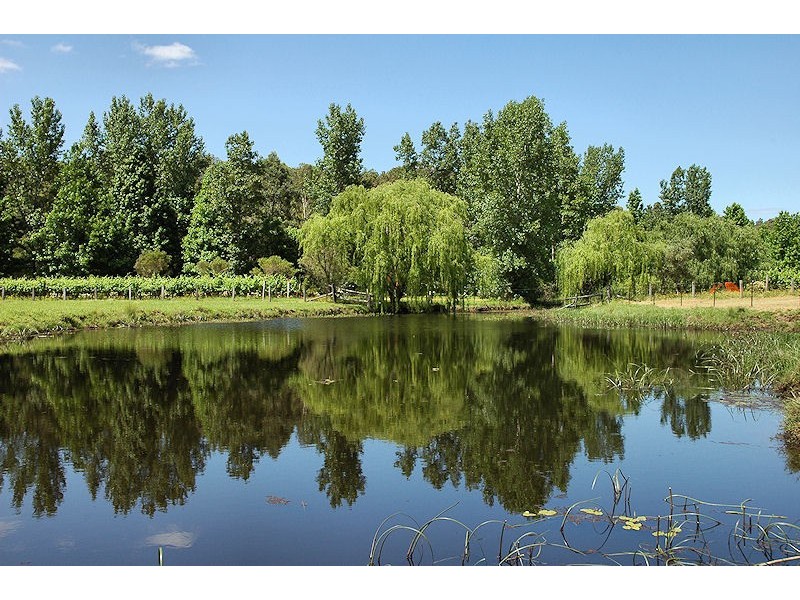 146 Yango Creek Road, Wollombi NSW 2325