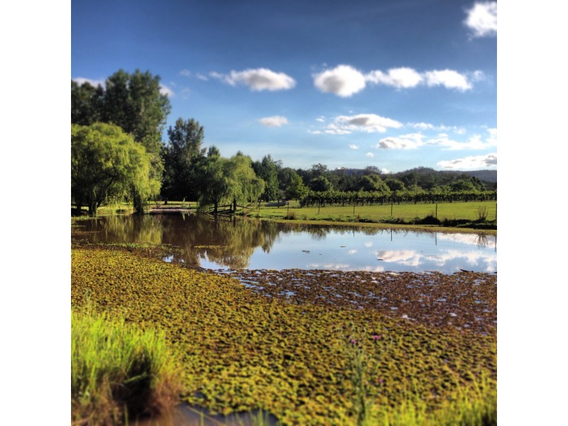 146 Yango Creek Road, Wollombi NSW 2325