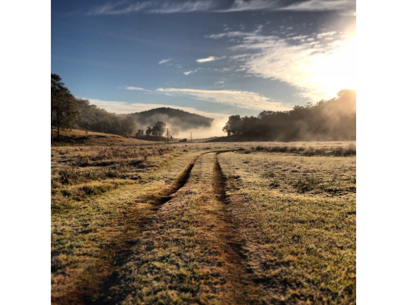 146 Yango Creek Road, Wollombi NSW 2325