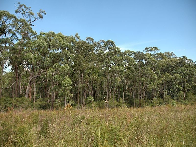 110 Dyce Road, Wyee NSW 2259