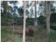 1882 Wollombi Road, Sweetmans Creek NSW 2325