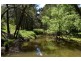 1882 Wollombi Road, Sweetmans Creek NSW 2325
