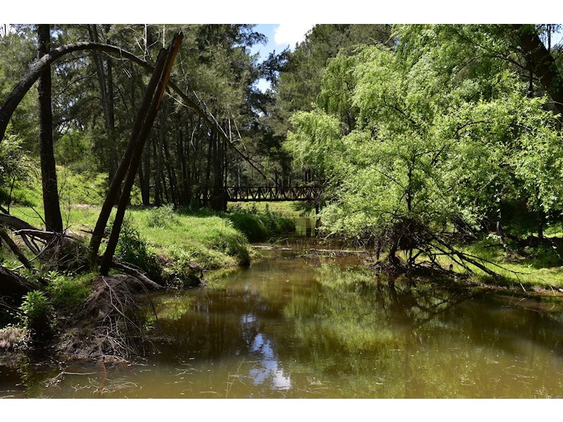1882 Wollombi Road, Sweetmans Creek NSW 2325