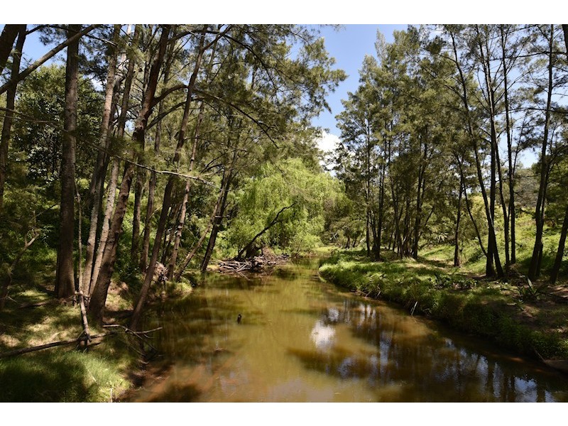 1882 Wollombi Road, Sweetmans Creek NSW 2325
