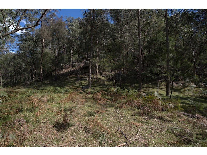 374 Stockyard Creek Road, Paynes Crossing NSW 2325