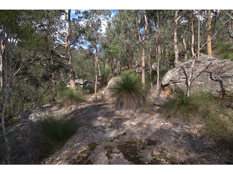 374 Stockyard Creek Road, Paynes Crossing NSW 2325