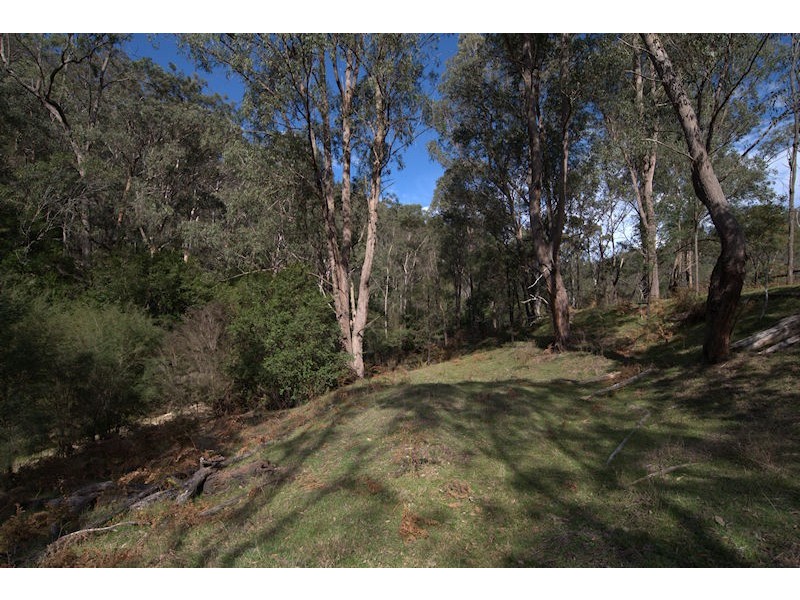 374 Stockyard Creek Road, Paynes Crossing NSW 2325