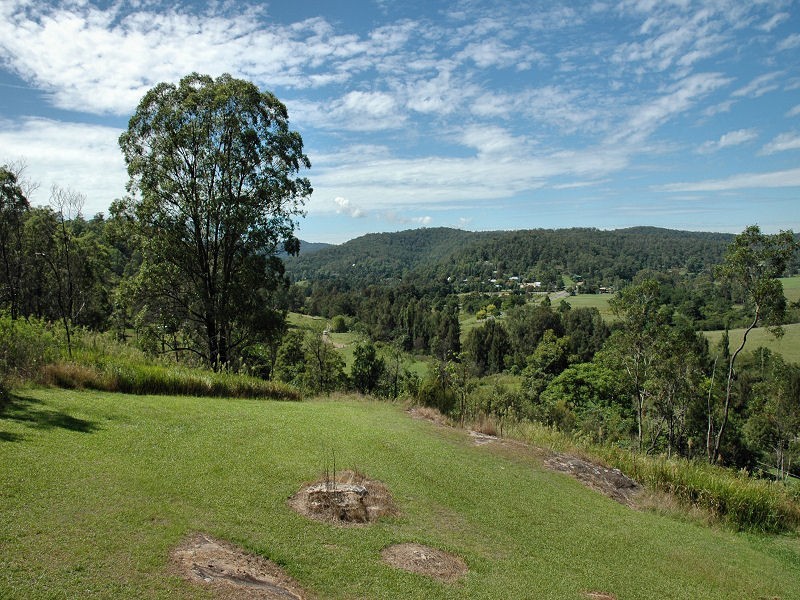 2873 Paynes Crossing Road, Wollombi NSW 2325