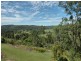 2873 Paynes Crossing Road, Wollombi NSW 2325