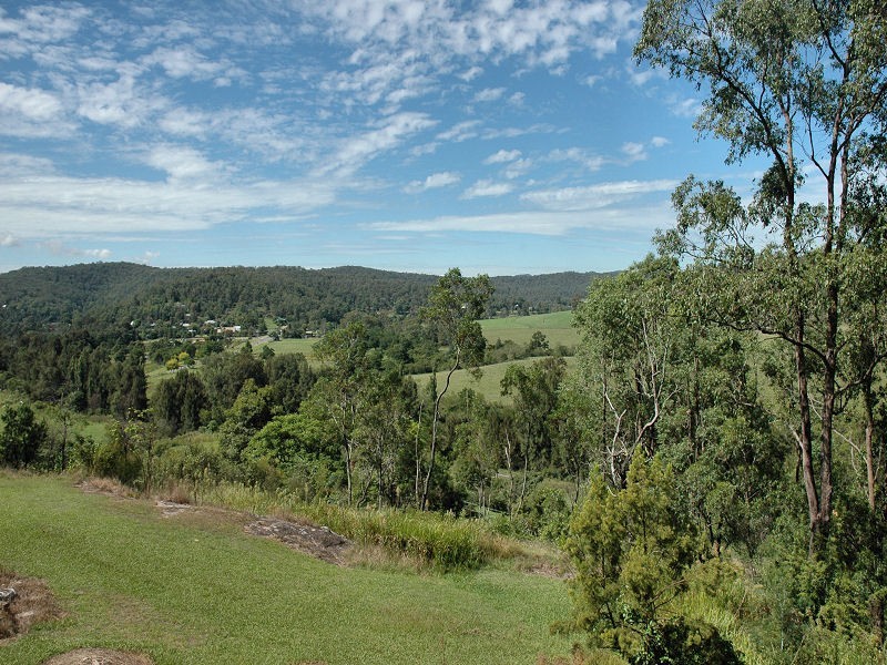 2873 Paynes Crossing Road, Wollombi NSW 2325