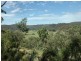 2873 Paynes Crossing Road, Wollombi NSW 2325