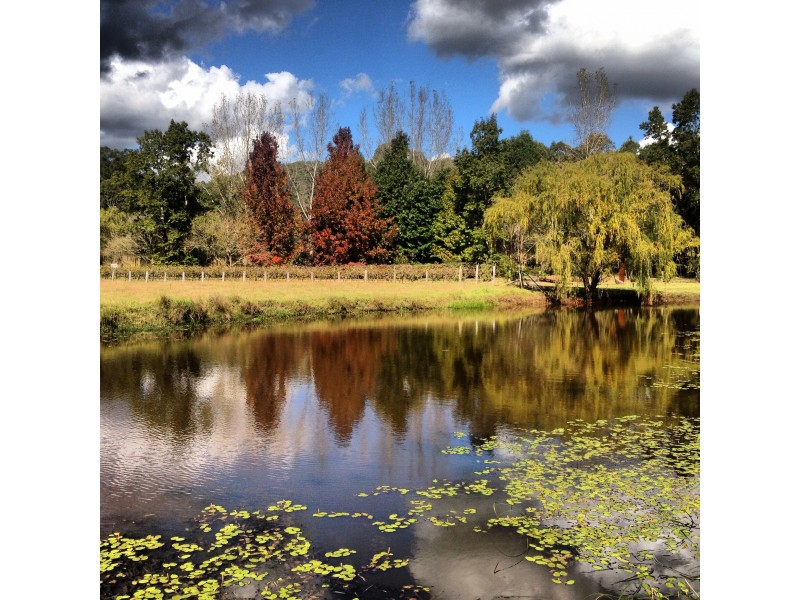 146 Yango Creek Road, Wollombi NSW 2325