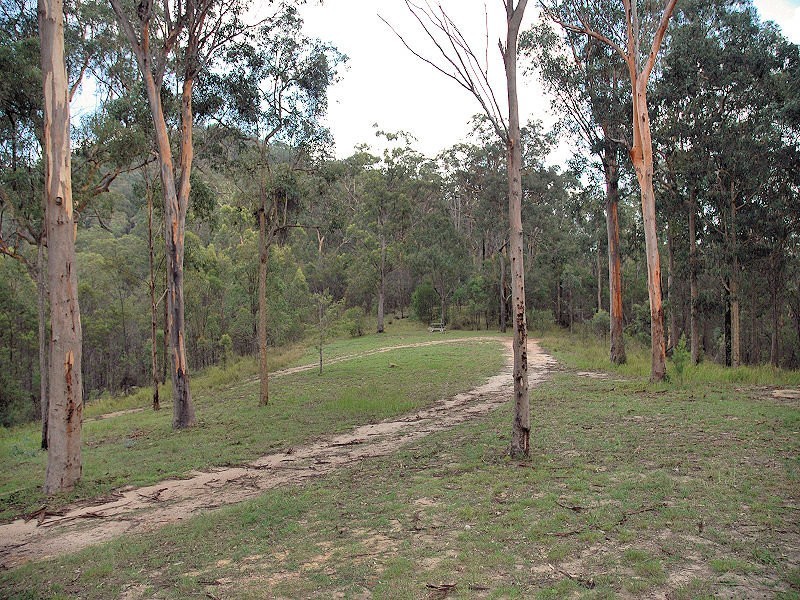 3468 Milsons Arm Road, Wollombi NSW 2325