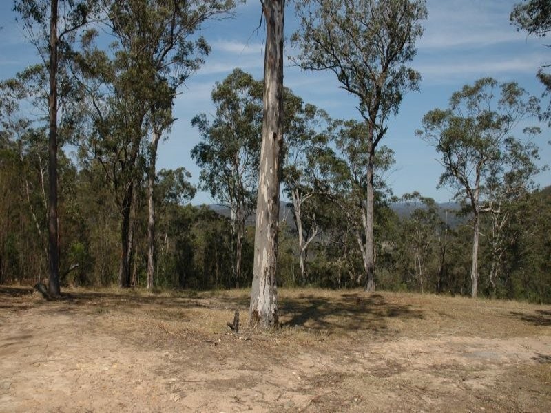 3468 Milsons Arm Road, Wollombi NSW 2325