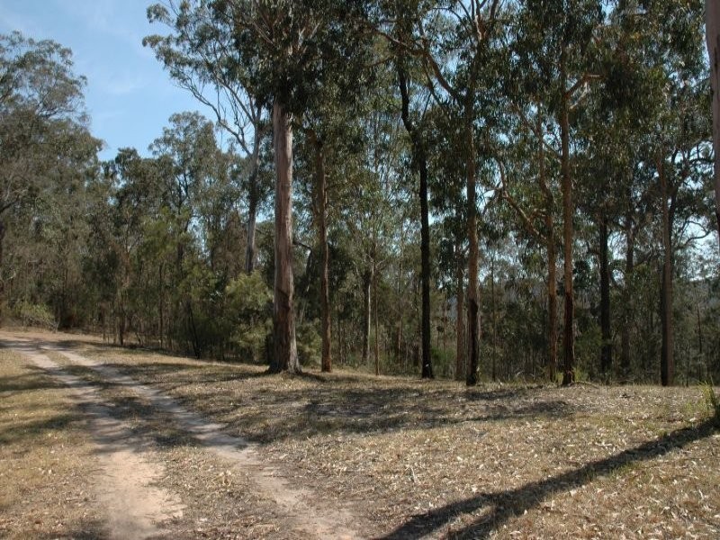 3468 Milsons Arm Road, Wollombi NSW 2325