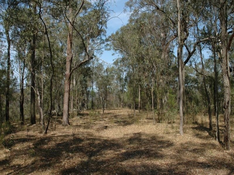 3468 Milsons Arm Road, Wollombi NSW 2325