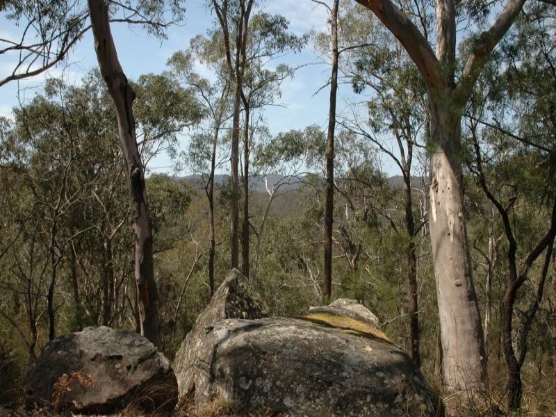 3468 Milsons Arm Road, Wollombi NSW 2325