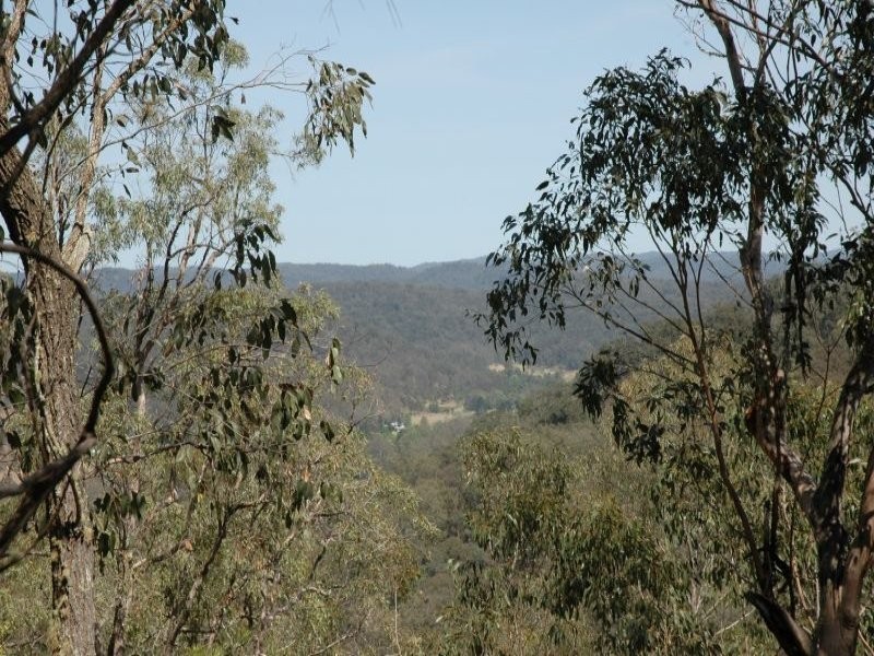 3468 Milsons Arm Road, Wollombi NSW 2325