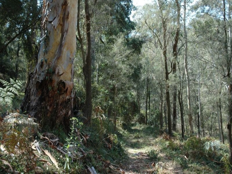 3468 Milsons Arm Road, Wollombi NSW 2325