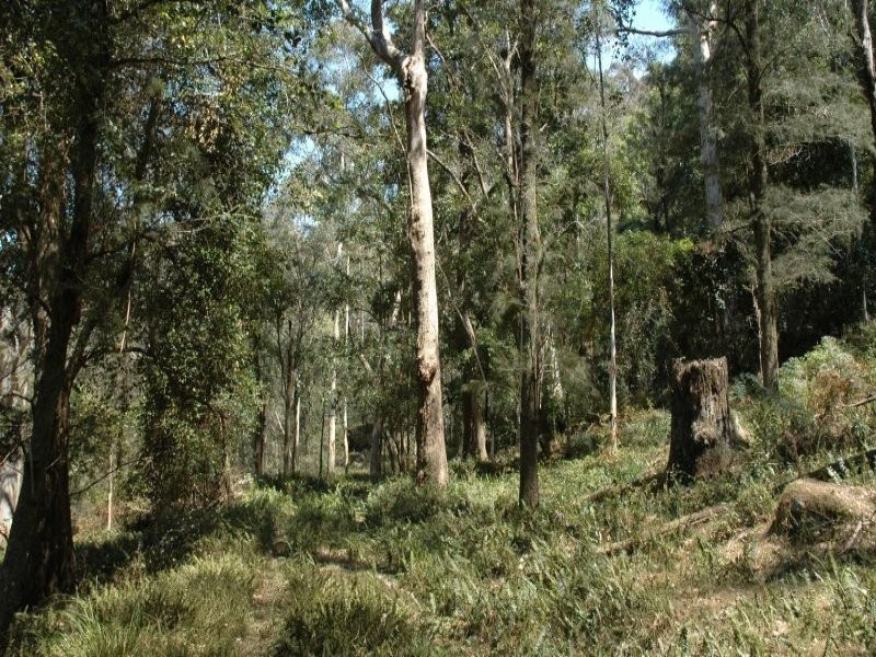 3468 Milsons Arm Road, Wollombi NSW 2325