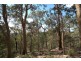 Lot 137 Boree Valley Road, Laguna NSW 2325