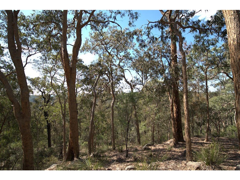 Lot 137 Boree Valley Road, Laguna NSW 2325