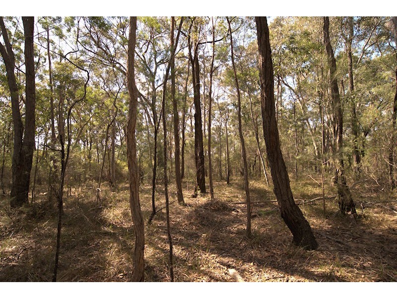 Lot 137 Boree Valley Road, Laguna NSW 2325