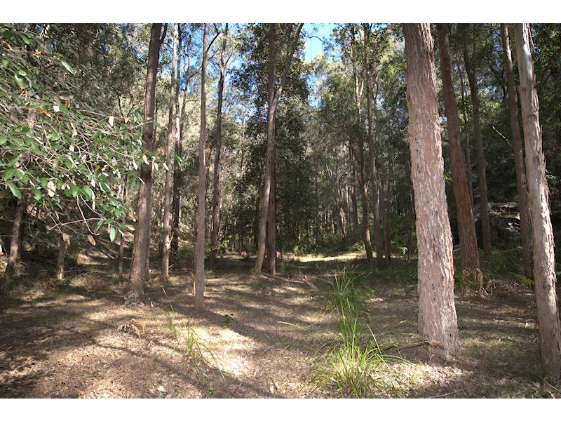 Lot 137 Boree Valley Road, Laguna NSW 2325