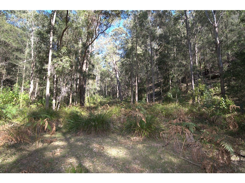 Lot 137 Boree Valley Road, Laguna NSW 2325