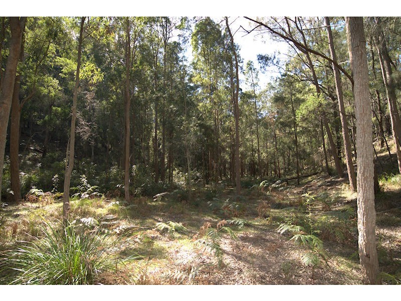 Lot 137 Boree Valley Road, Laguna NSW 2325