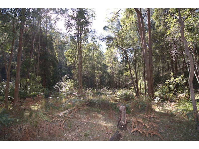 Lot 137 Boree Valley Road, Laguna NSW 2325