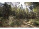 Lot 137 Boree Valley Road, Laguna NSW 2325