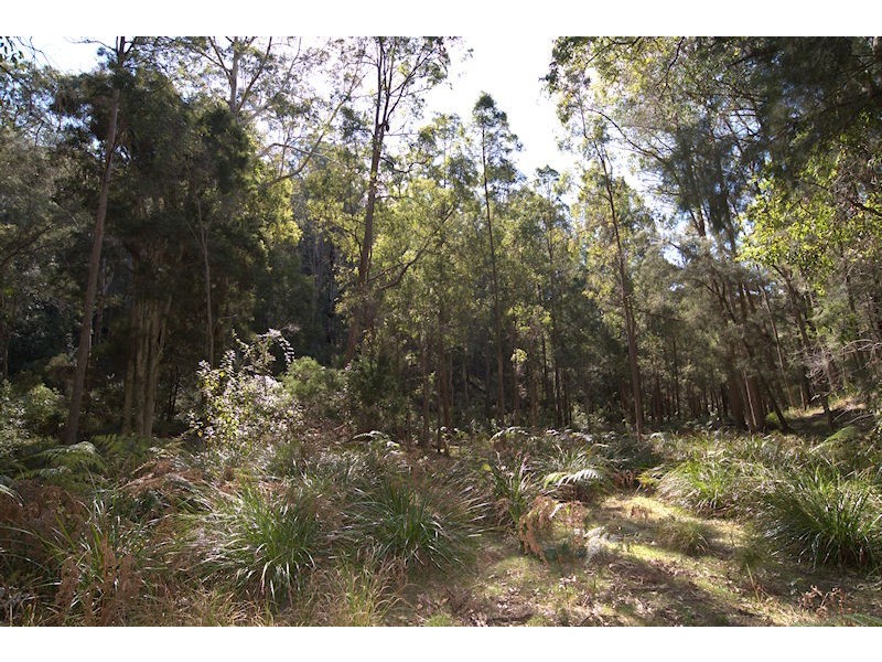 Lot 137 Boree Valley Road, Laguna NSW 2325