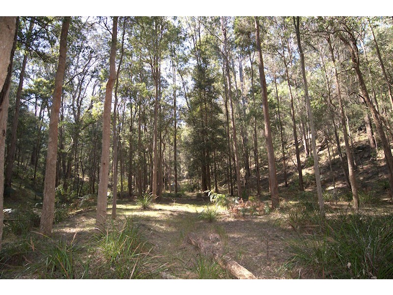 Lot 137 Boree Valley Road, Laguna NSW 2325