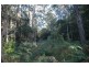Lot 137 Boree Valley Road, Laguna NSW 2325