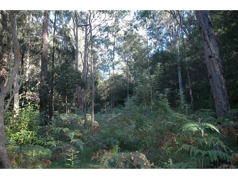 Lot 137 Boree Valley Road, Laguna NSW 2325