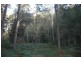Lot 137 Boree Valley Road, Laguna NSW 2325