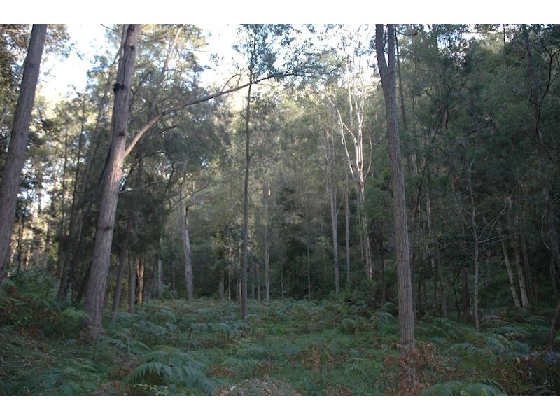 Lot 137 Boree Valley Road, Laguna NSW 2325