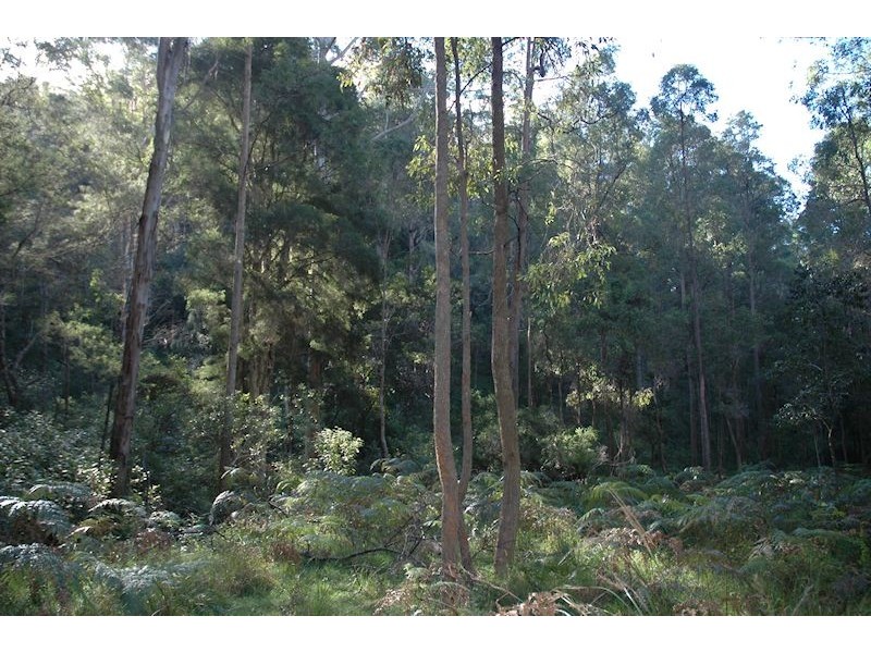 Lot 137 Boree Valley Road, Laguna NSW 2325