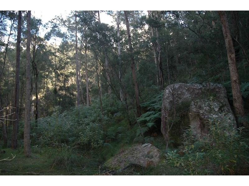 Lot 137 Boree Valley Road, Laguna NSW 2325