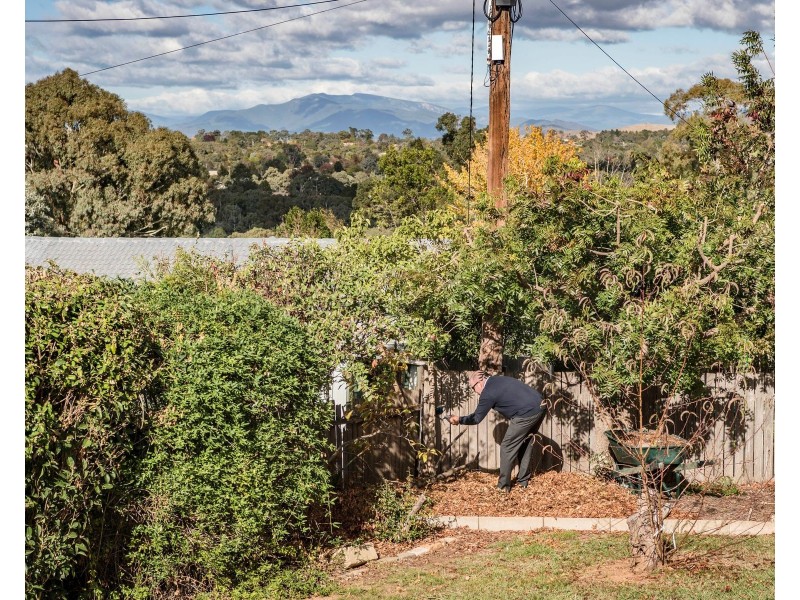 11 Osburn Drive, Macgregor ACT 2615