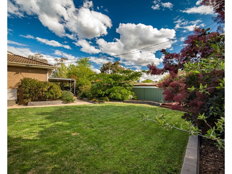 31 Macnaughton Street, Holt ACT 2615